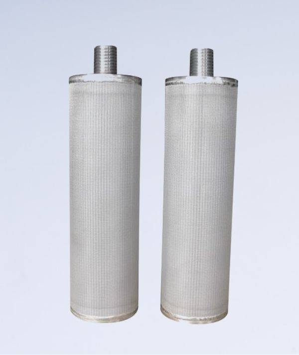 2 vertically placed stainless steel sintered candle filters are displayed.
